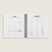 Open Spiral bound Interior pages of “How to Draw All the Animals for Kids” by Alli Koch, showing step-by-step drawing guides for a frog and a monkey with simple numbered illustrations and fun animal facts