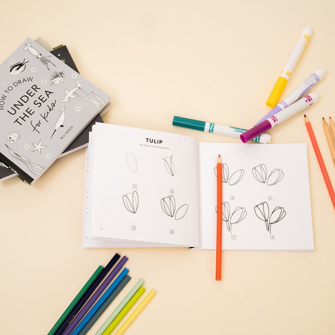 How to Draw So Many Things by Alli Koch