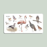 Book with illustrations of various birds on a light green background