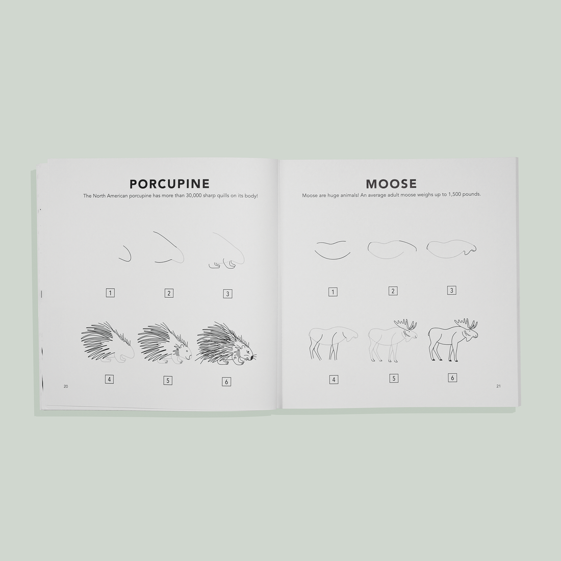 How to Draw for Kids: Mushrooms & Woodland Creatures by Alli Koch