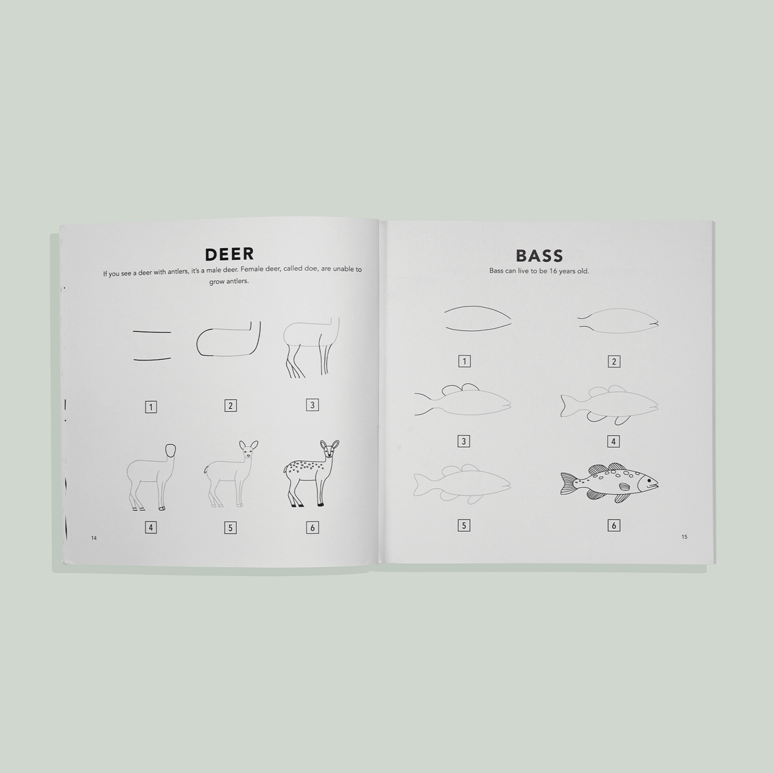 How to Draw for Kids: Mushrooms & Woodland Creatures by Alli Koch