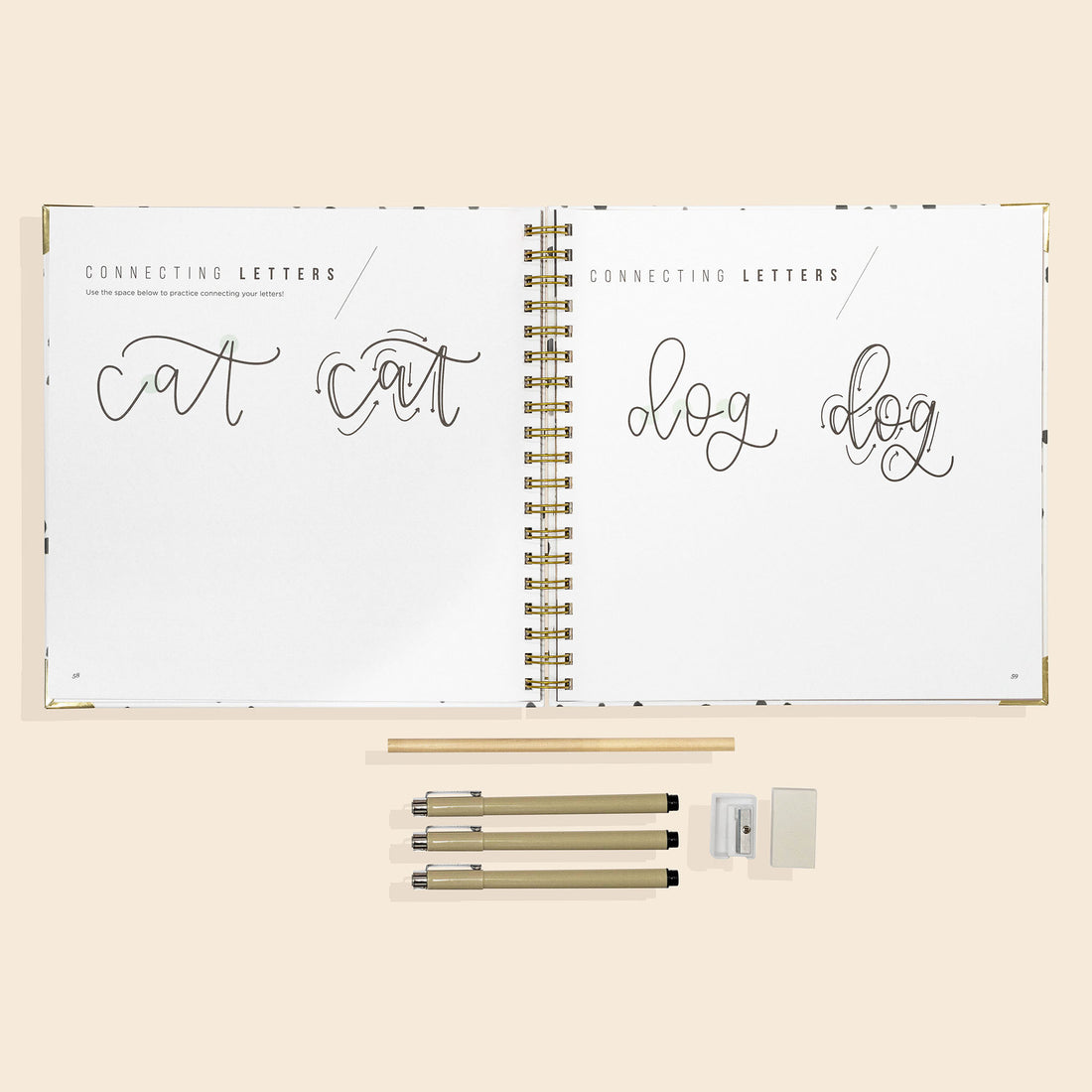 Modern Calligraphy Set For Beginners Available at Paige Tate and Co