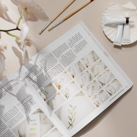 Modern Watercolor Botanicals Available at Paige Tate and Co