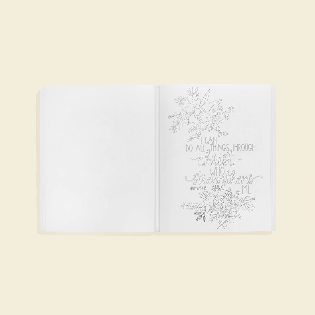 Beauty In The Bible Coloring Book by Paige Tate & Co.