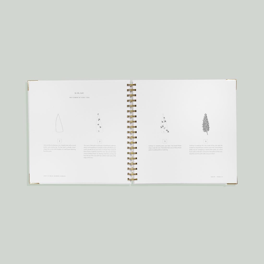 How to Draw Modern Florals by Alli Koch