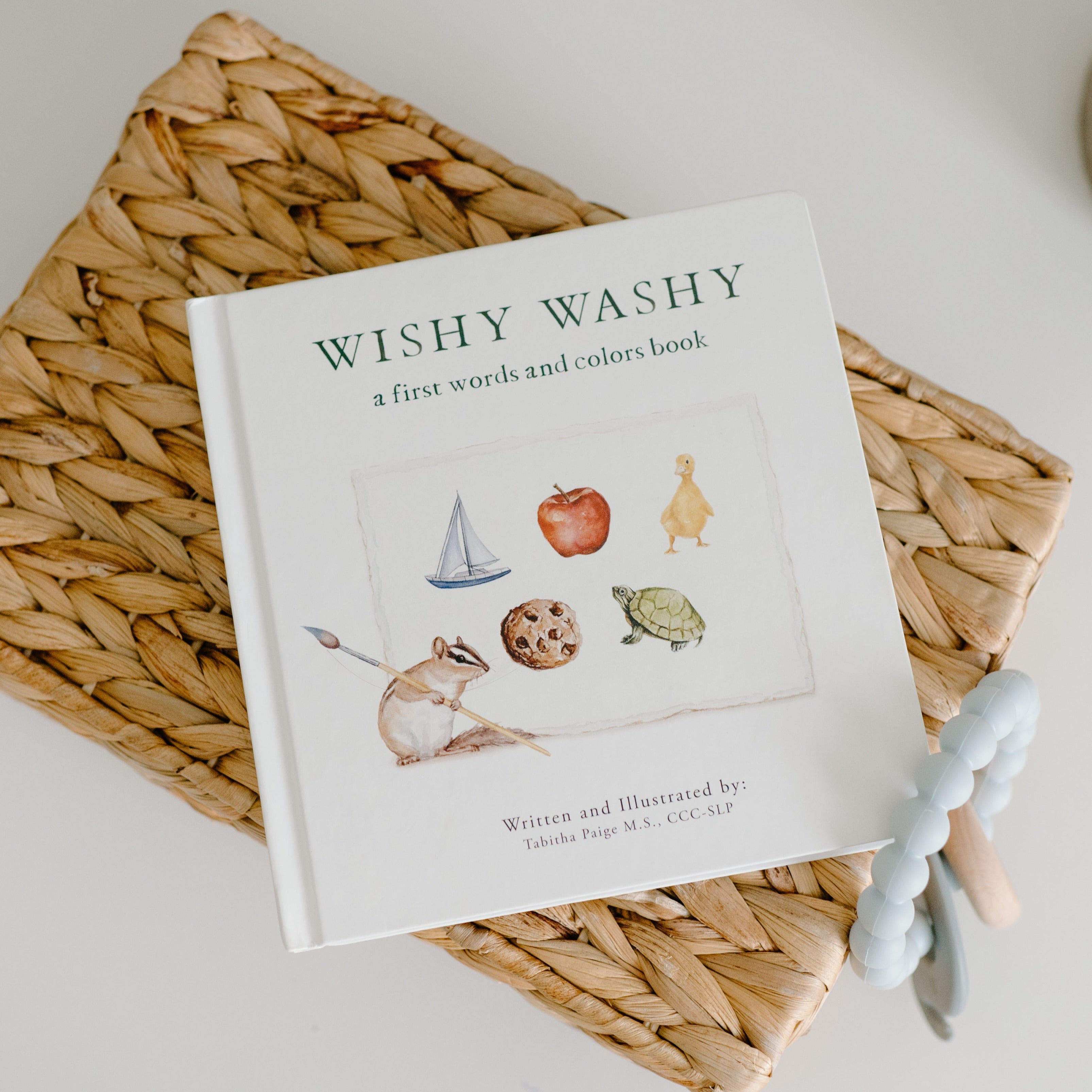 Wishy Washy: A Board Book of First Words and Colors – Paige Tate