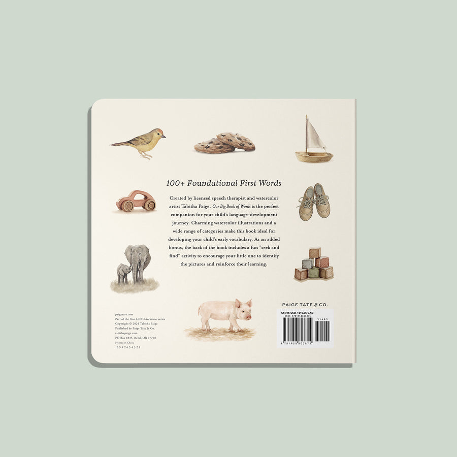 Our Big Book of Words by Tabitha Paige