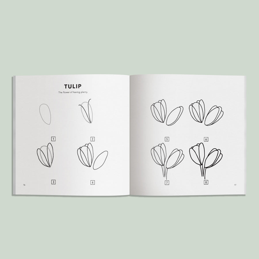 How to Draw Spring Things by Alli Koch