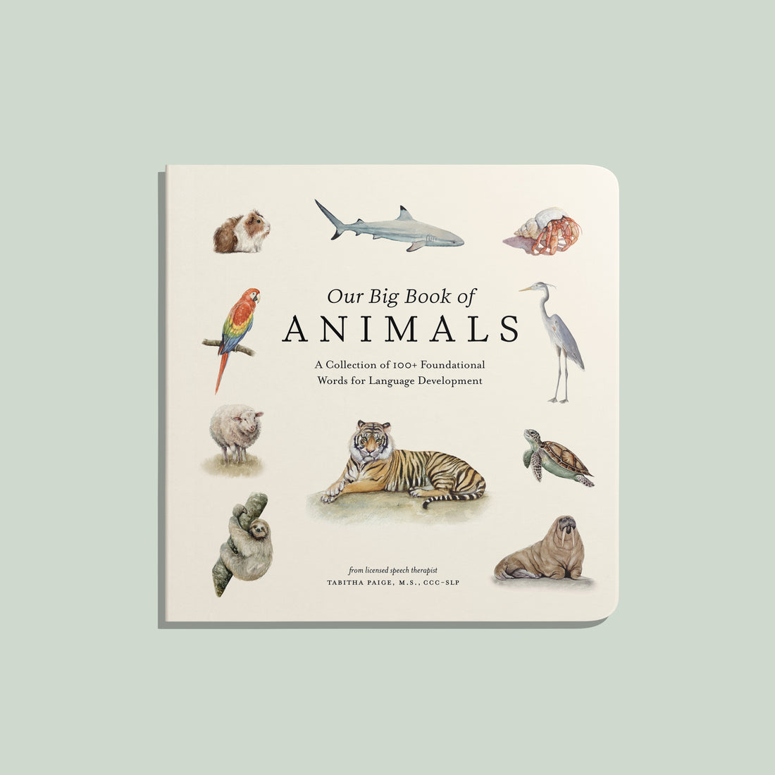 Book titled 'Our Big Book of Animals' with illustrations of various animals on a light green background