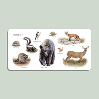 Educational children's book with illustrations of forest animals on a light green background