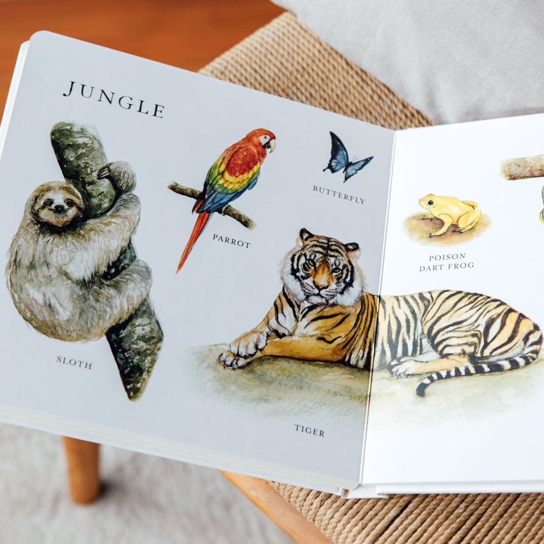 Children's book open to pages showing illustrations of animals like a sloth, parrot, butterfly, tiger, and poison dart frog.