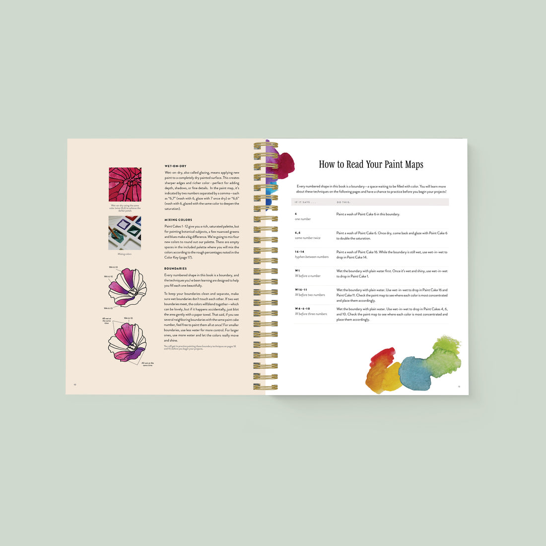 An open spiral-bound art practice book showing floral line drawings and color examples on one page and instructions on how to read your paint maps on another. 