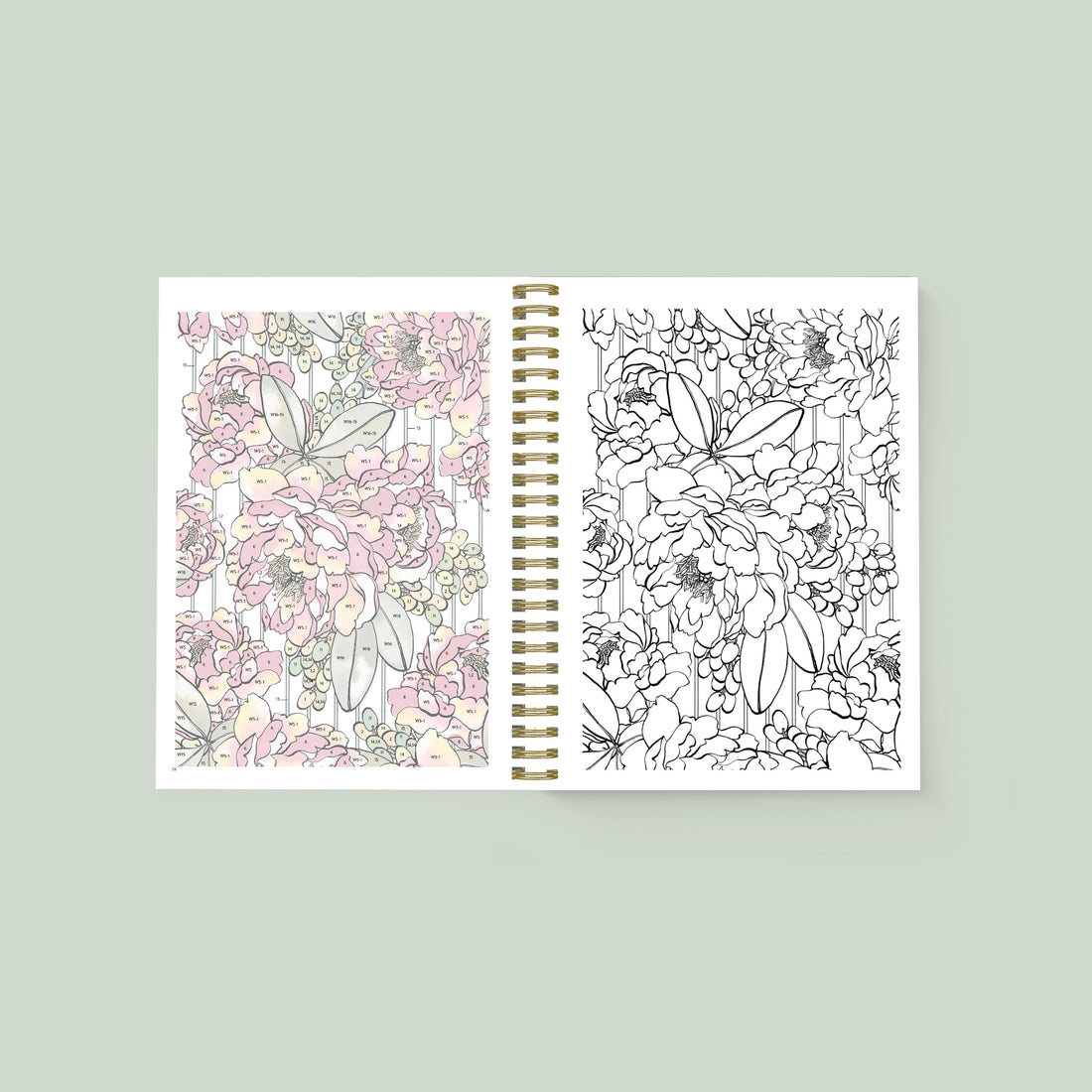 An open spiral-bound art practice book showing floral line drawings and color examples on two pages, photographed against a pale green background.