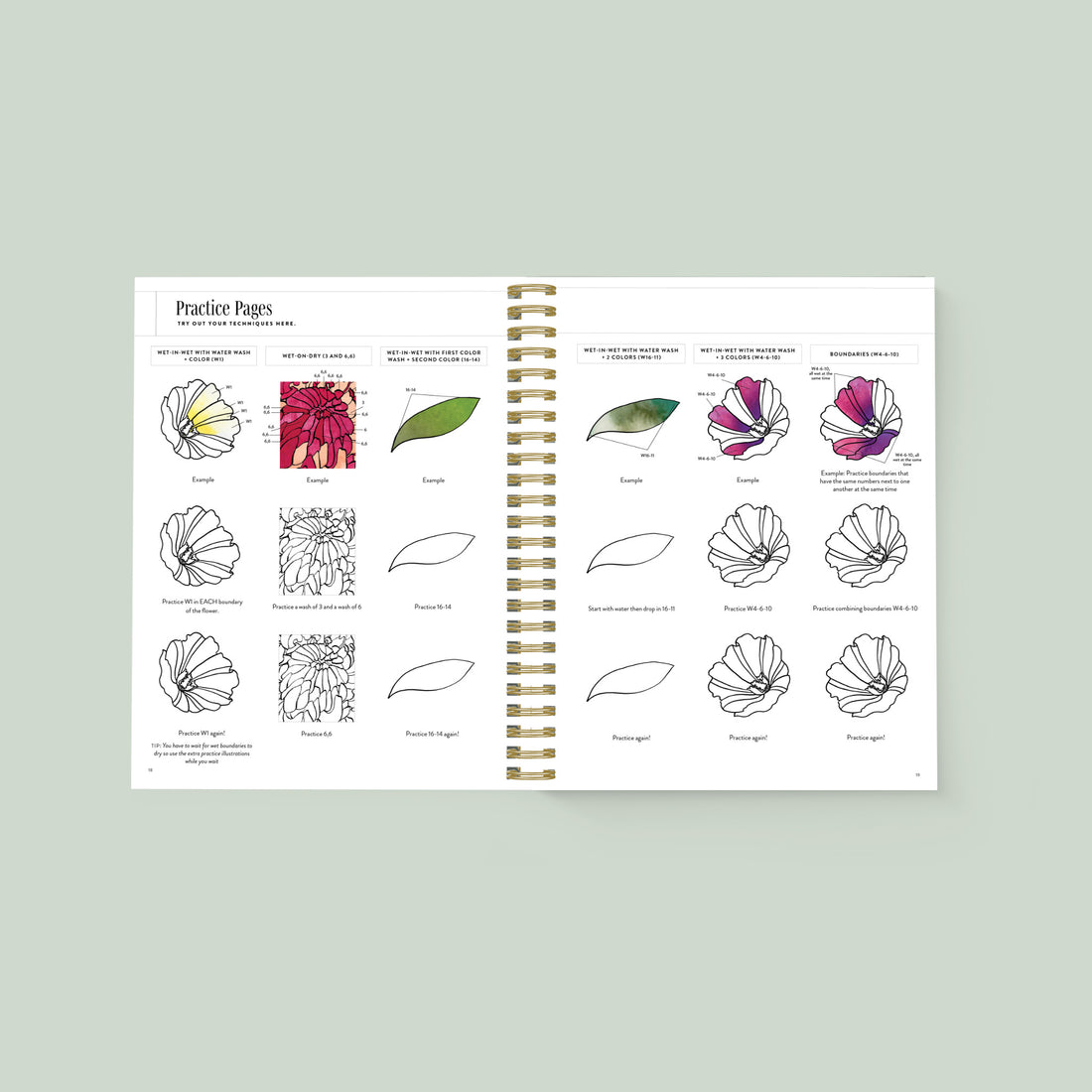 An open spiral-bound art practice book showing floral line drawings and color examples on two pages, photographed against a pale green background.