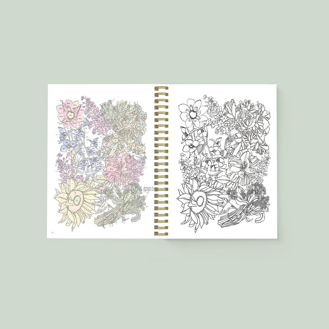 An open spiral-bound art practice book showing floral line drawings and color examples on two pages, photographed against a pale green background.