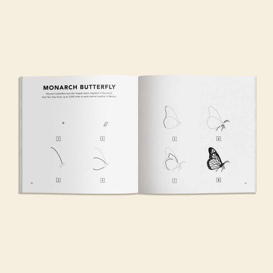 inside view of 'How to Draw Bugs for Kids" showing a step-by-step process of how to draw a butterfly. 