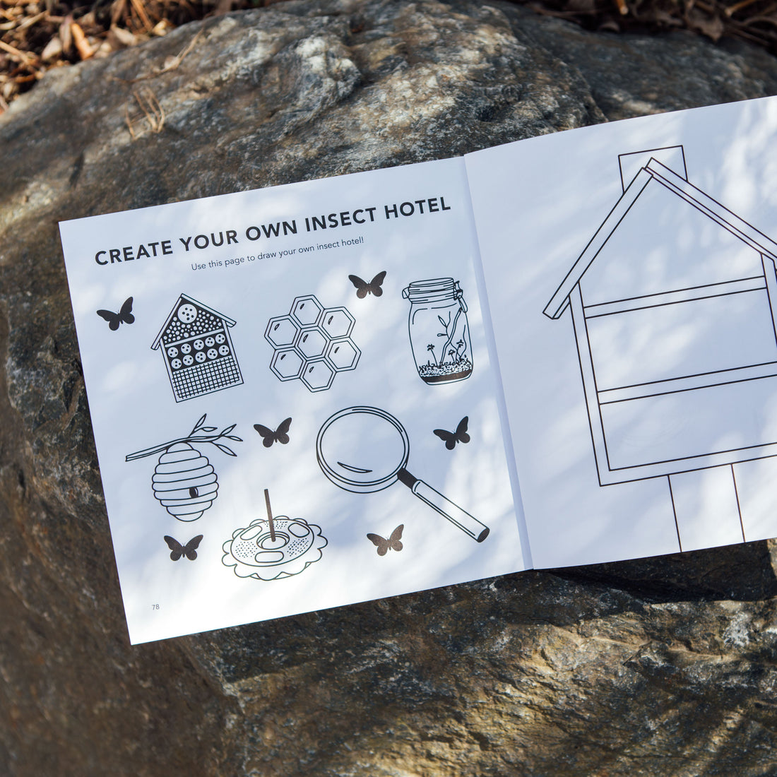 Instructions for creating an insect hotel on a rock