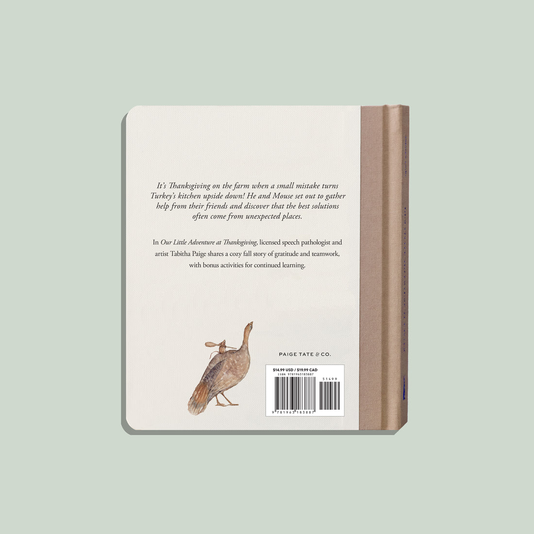 Book cover with a turkey illustration on a light green background