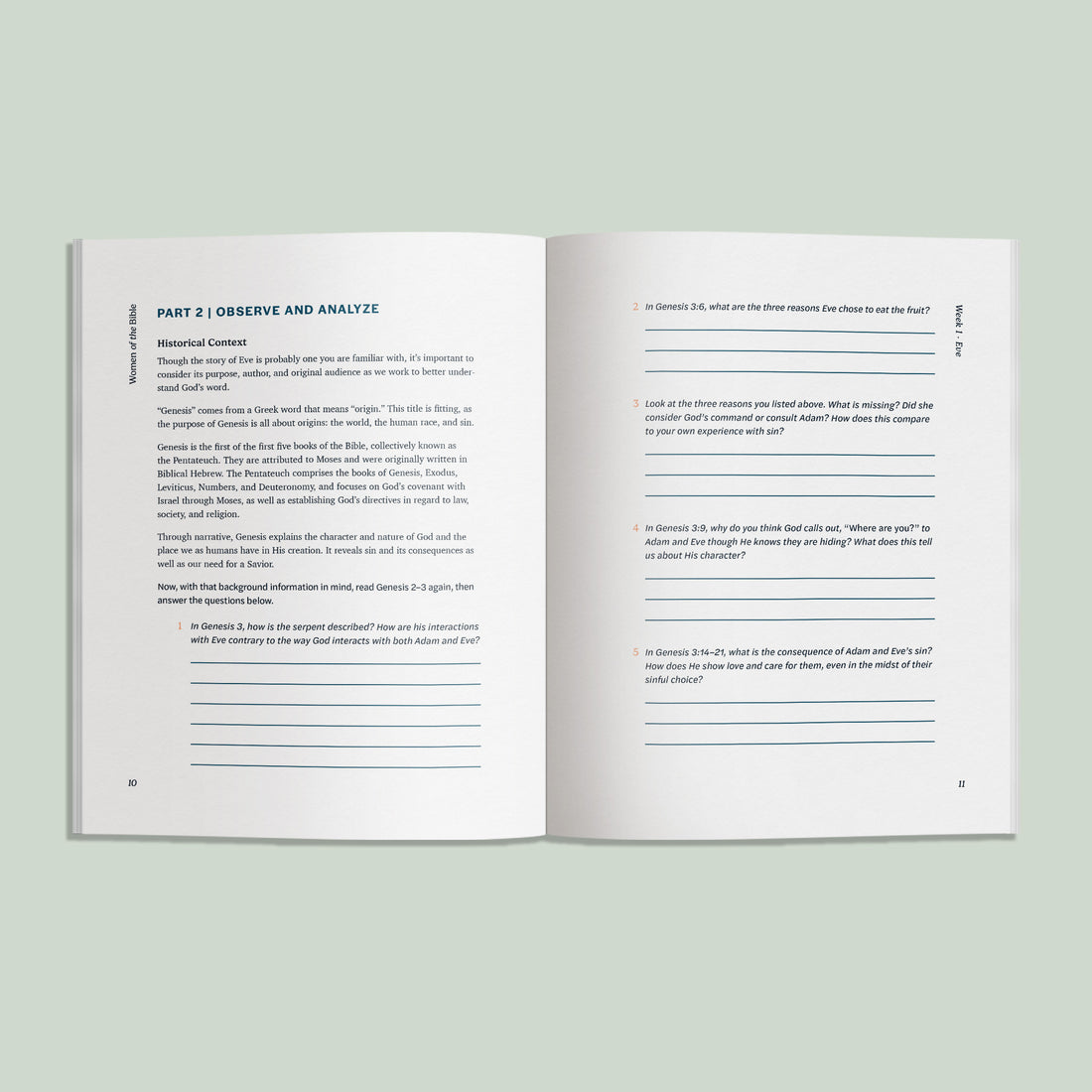Open book with text on a light green background