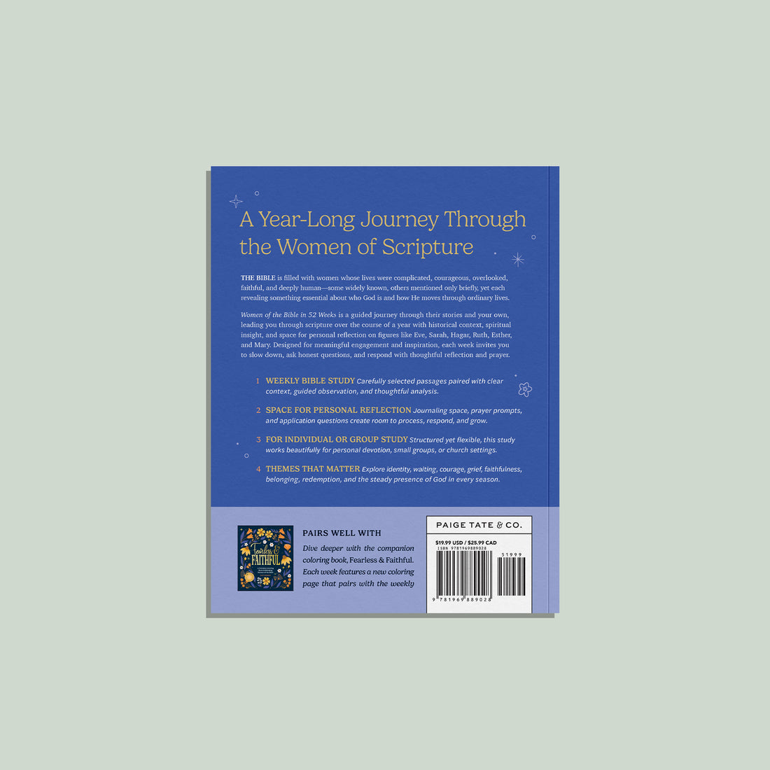 Book cover with text on a light gray background