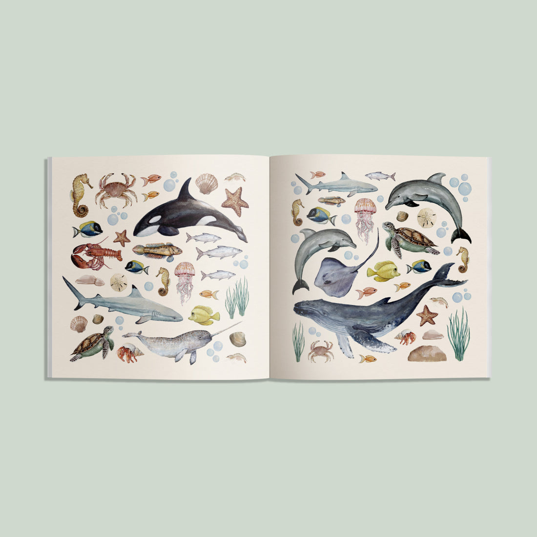 An open illustrated book or art print spread on a pale green background, showing watercolor-style ocean animals and sea life including whales, dolphins, sharks, crabs, jellyfish, and starfish on cream pages.