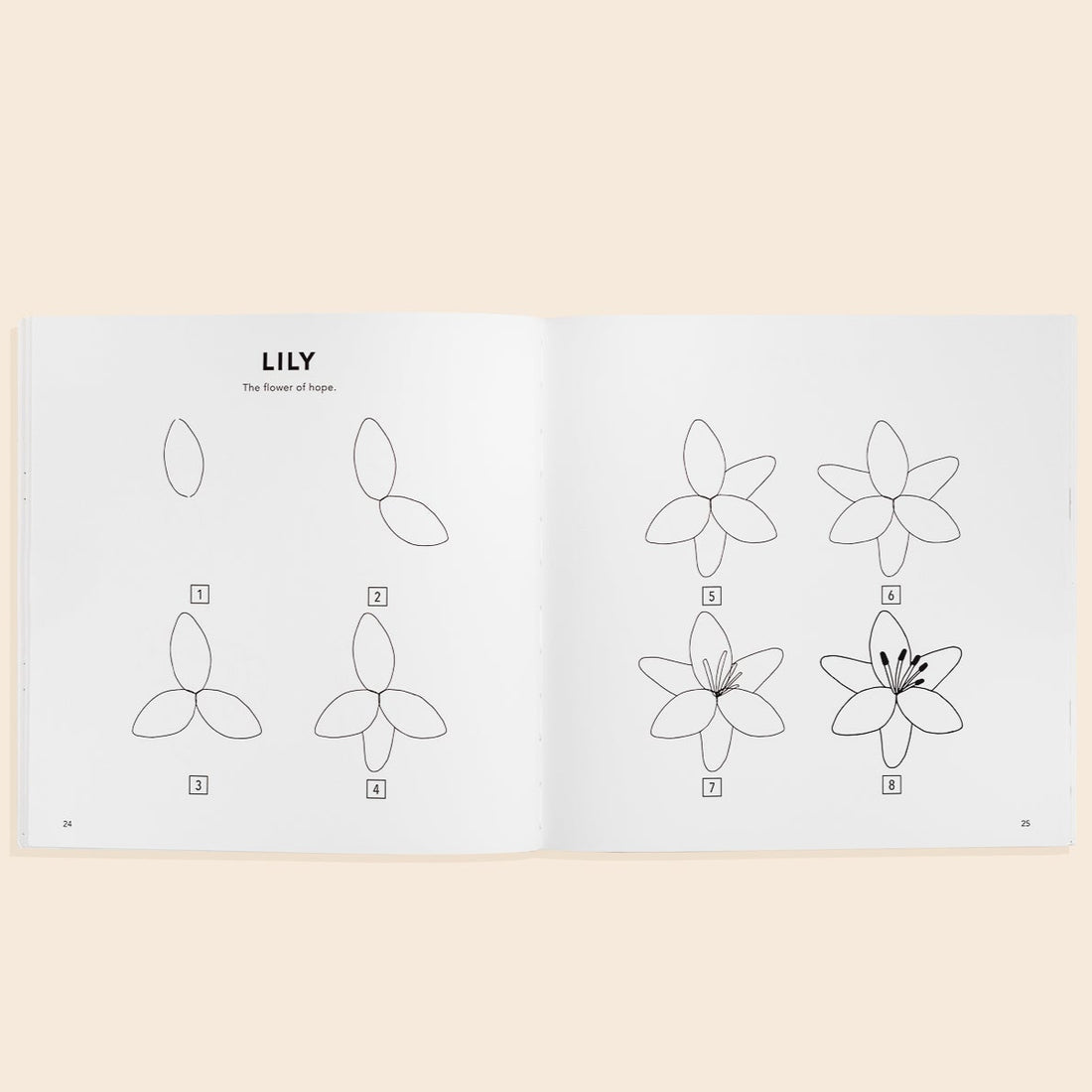 How to Draw Modern Flowers by Alli K