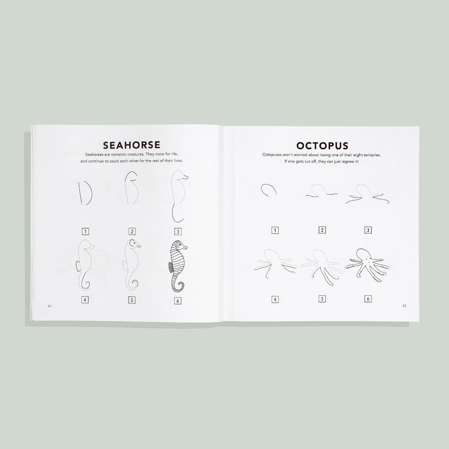 Under the Sea How to Draw by Alli Koch Available at Paige Tate and Co