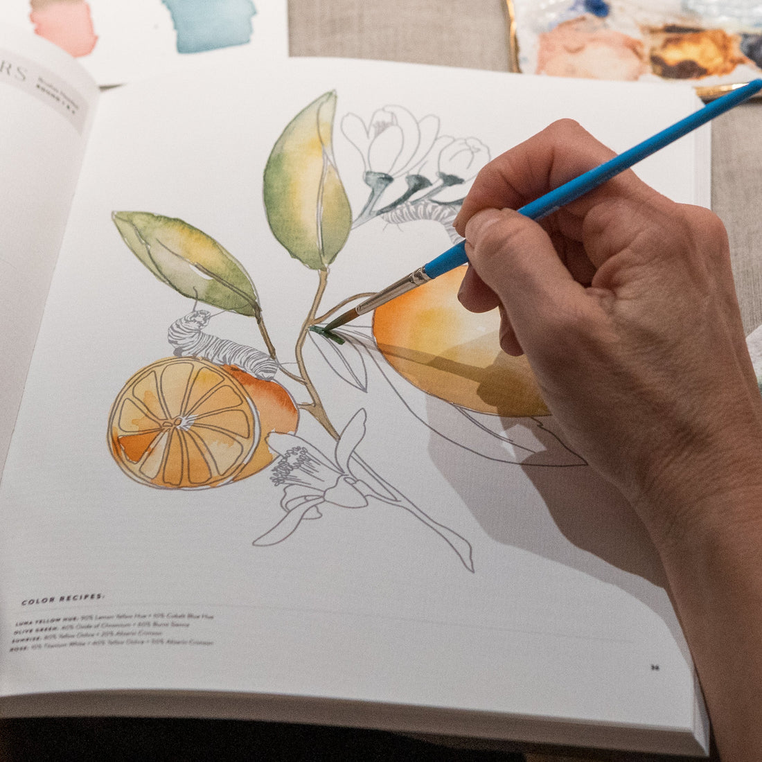 Watercolor Workbook