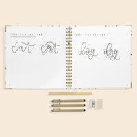 Modern Calligraphy Set For Beginners Available at Paige Tate and Co