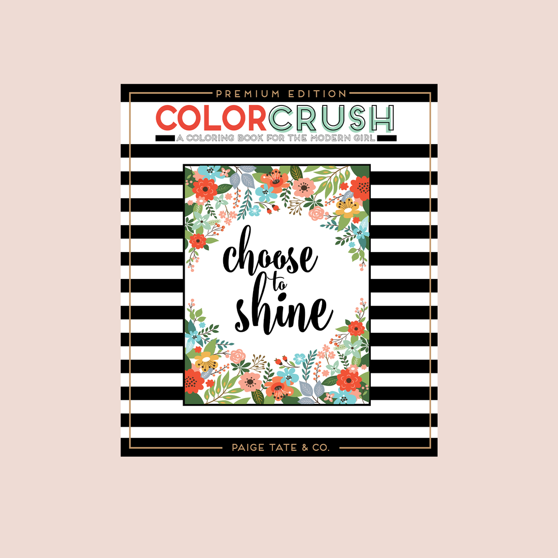 Color Crush A Coloring Book for the Modern Teen Girl Available at Paige Tate and Co