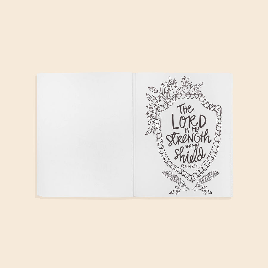 Beauty In The Bible 2 Coloring Book by Paige Tate & Co.