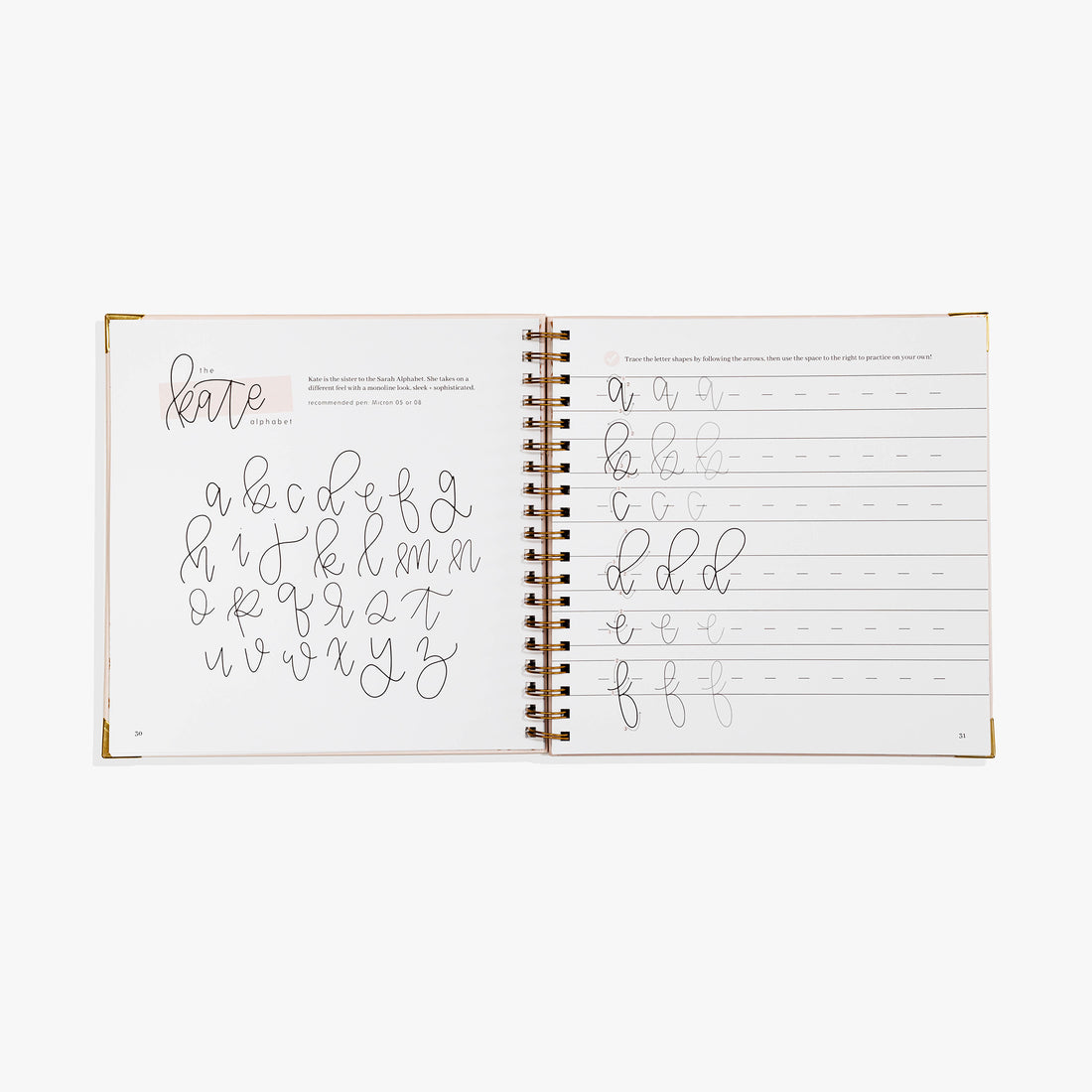 Queen Font Calligraphy Workbook - 100 Pages Of Calligraphy Lettering  Workbook