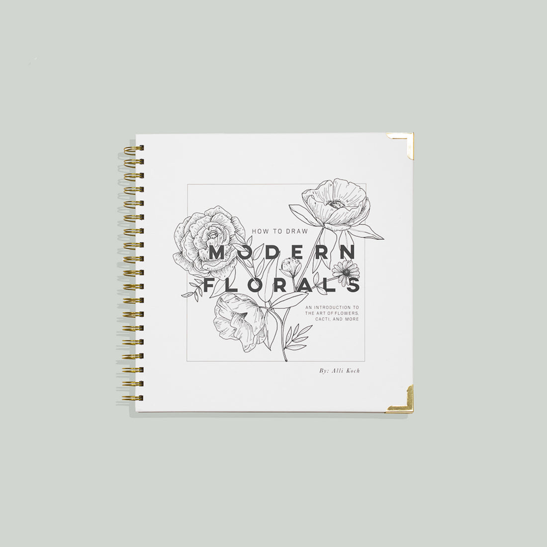 How To Draw Modern Florals by Alli Koch