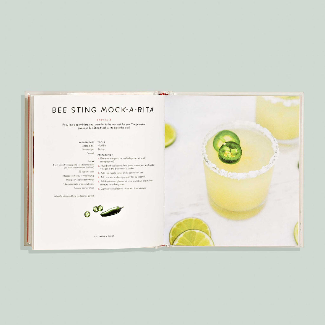 Mocktail Party a Mocktail Recipe Book Available at Paige Tate and Co